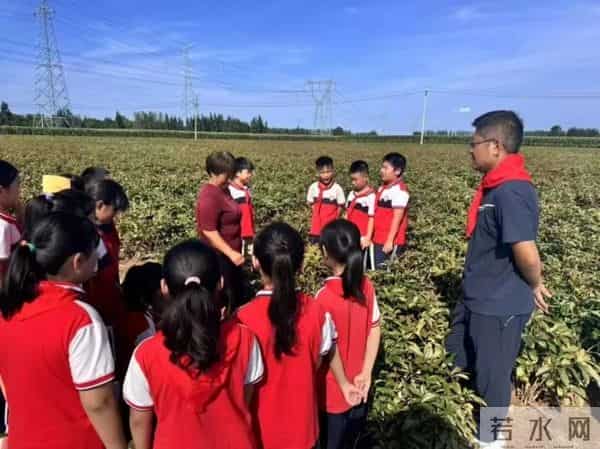 阳信县洋湖乡多措并举推进新时代农村学校少先队劳动实践教育