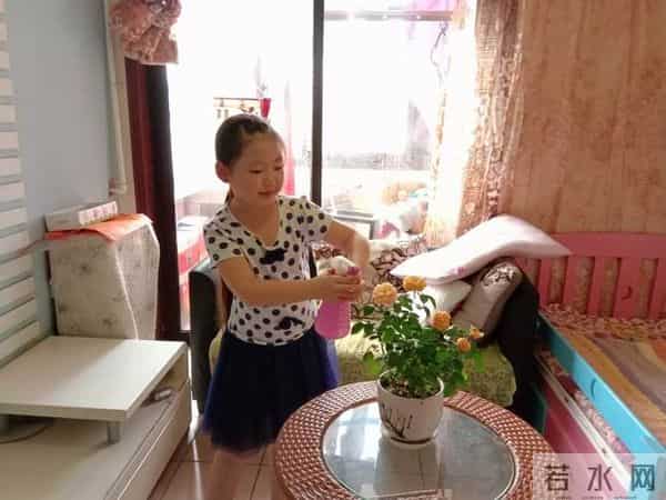 梅花香自苦寒来 张琬其摘得中国戏曲小梅花金奖