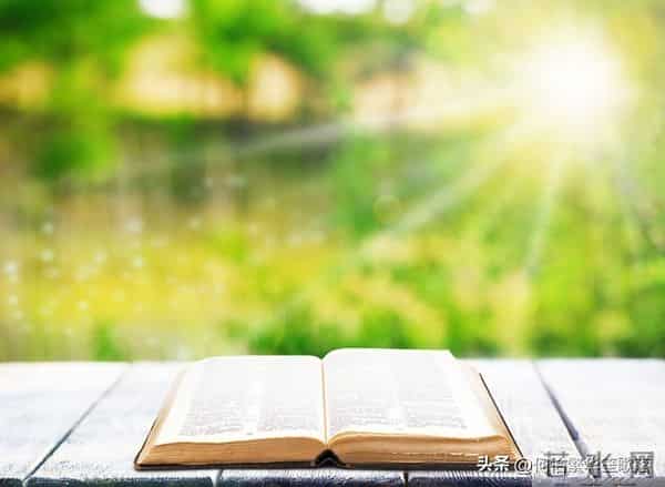 《读书的快乐》演讲稿600字(六年级口语交际)