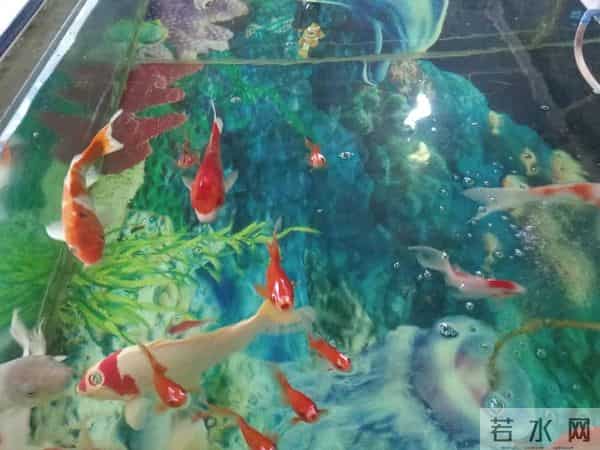 三年级日记之2025年国庆节游记和生活记录三则300字