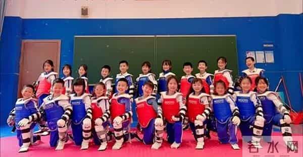 2025年“少年强”全国跆拳道线上系列赛收官