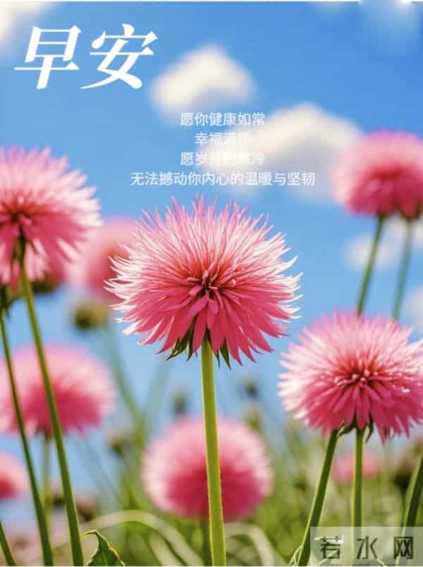 每日100句吉祥祝福语,最美的问候语大全,祝福朋友们快乐吉祥