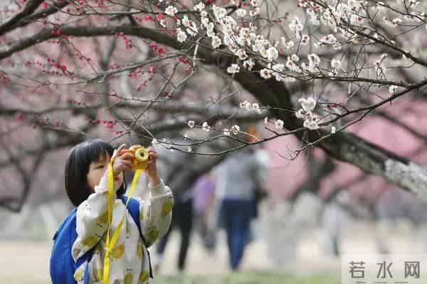 清明假期结束，多地中小学迎来春假！