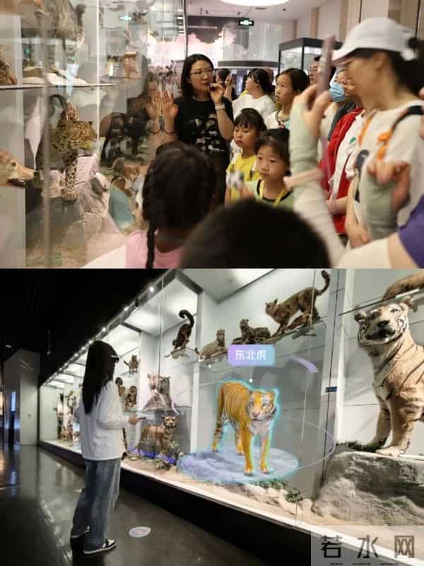 免票！“六一”国际儿童节快乐！