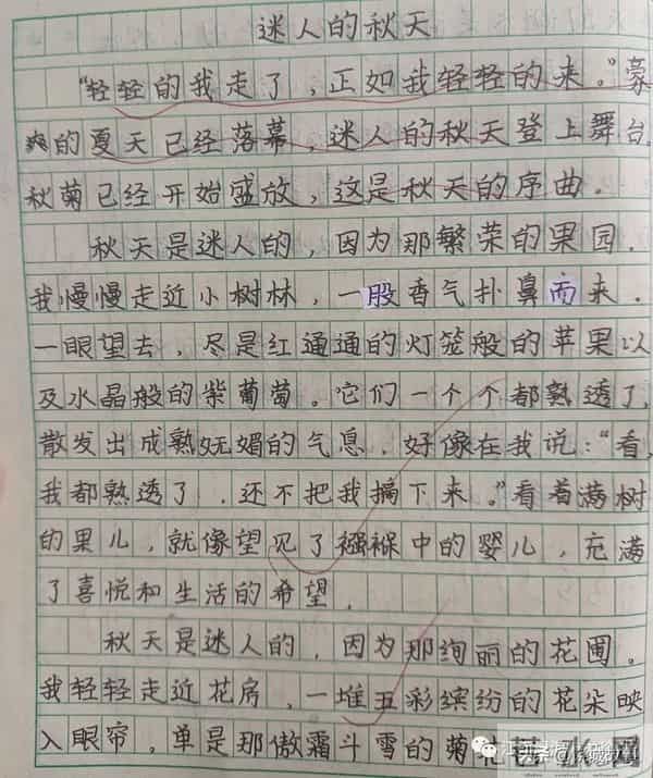 婺源县珍珠山中学学生作文展示——《迷人的秋天》