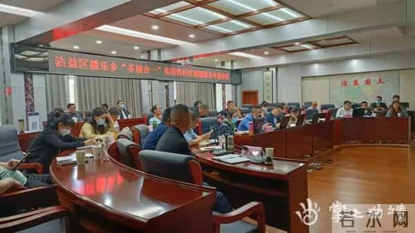 播乐乡全域所有村庄规划编制成果顺利通过市、区联合审查