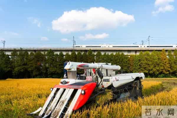 小雪知“食”节!这桌家常饭菜,恰是秋冬好滋味