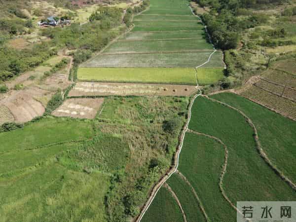 烈日下,为干旱的稻田送来灌溉用水——湖南衡阳抽水保灌一线见闻