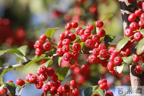 人活一生,健康的活着,平静的过着,开心的笑着,适当的忙着,就很好