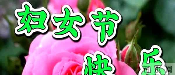 3.8女神节祝福语早上好问候语每日更新，正能量早安，很赞的短句