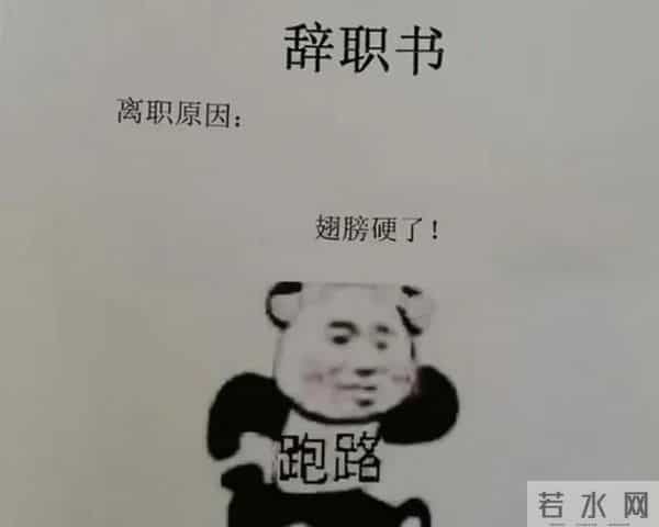 悄悄地储存一些优秀的辞职范文，万一用上了呢