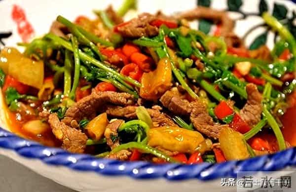 “不能对女婿好”骂上热搜:撕开多少父母悲哀真相