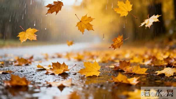 明日中秋节，老人说最怕“中秋节一日雨”，中秋节下雨有啥预兆？