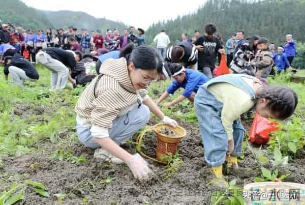 共赴侗乡盛会！三江2025年“月月过大节”活动出炉！