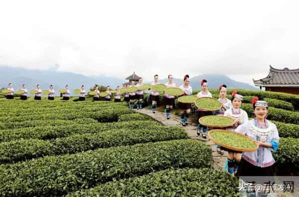 共赴侗乡盛会！三江2025年“月月过大节”活动出炉！