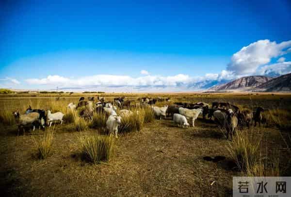 70年来,有没有一首歌,让中国人听了就热泪盈眶?