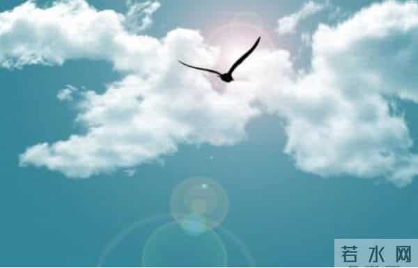 作文大赛初赛作品丨我自己的梦想