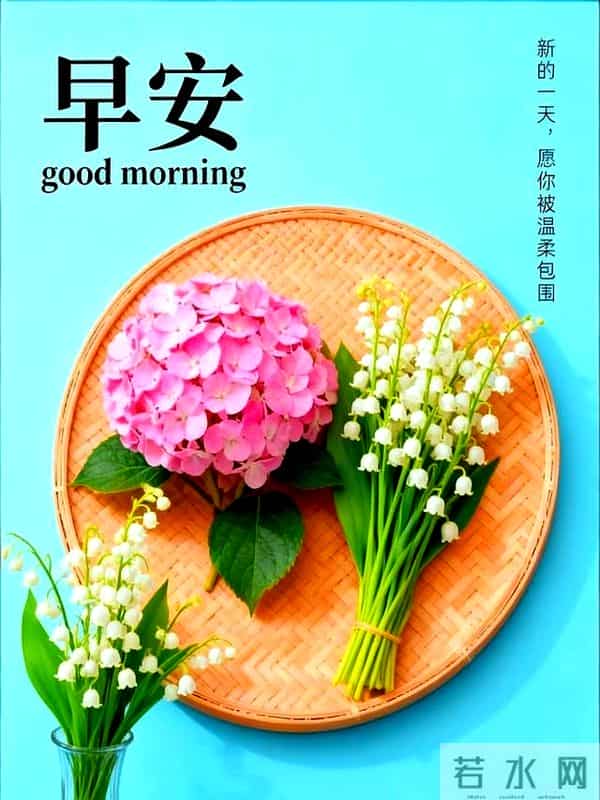 15句暖心早安祝福，愿你朝有晨光暖，暮有晚风柔，平安顺遂伴安康