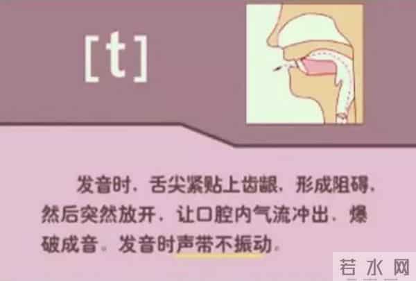 48个国际英语音标发音表及口型，好东西必须珍藏！