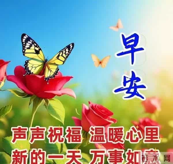 早上好温馨问候语大全,精选早安祝福短语,愿心情始终美好