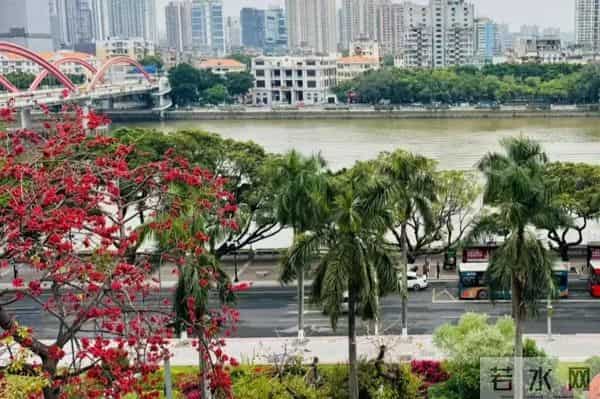 直系通用祭文范例