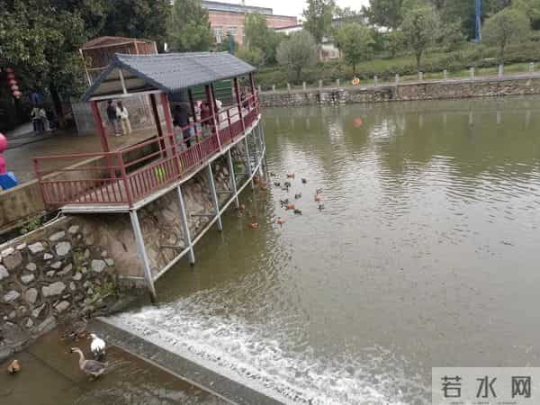 三年级日记之2025年国庆节游记和生活记录三则300字