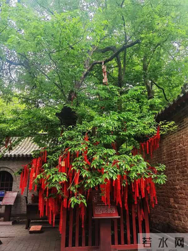 这个国庆来济宁,旅游景区宠客宝藏攻略来袭