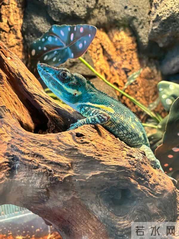 这个国庆来济宁,旅游景区宠客宝藏攻略来袭