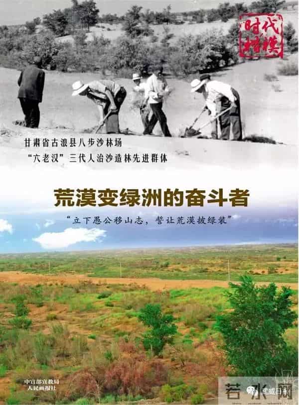 央视八步沙林场“六老汉”三代人治沙造林先进群体公益广告在武威市反响强烈