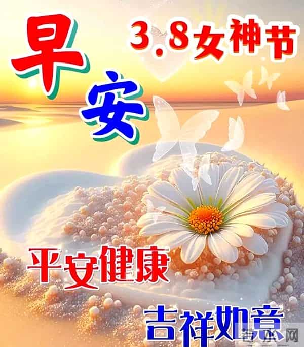 3.8女神节祝福语早上好问候语每日更新，正能量早安，很赞的短句