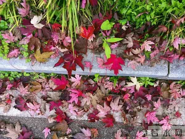 随笔：好吧，不管你经历了什么，一觉醒来，这个城市依旧车水马龙