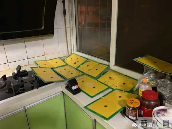 卧室与垃圾站仅一墙之隔，社区回应：重建会影响消防通道