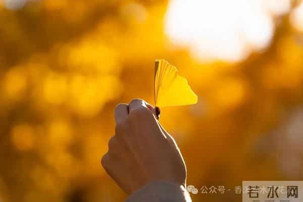 【汤老师创意作文展示——寻找秋天的故事】徐紫宁《美丽的秋天》