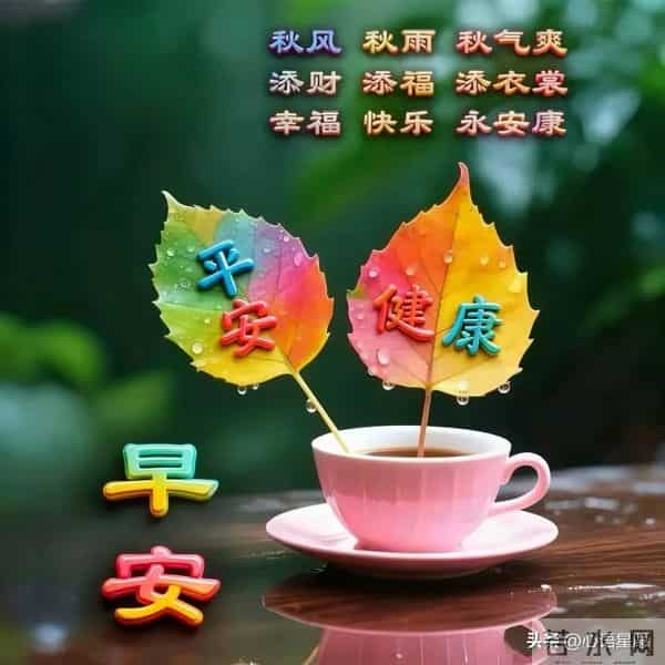 15句暖心早安祝福，安然于烟火，欣喜于细碎，愿你事事如意皆圆满