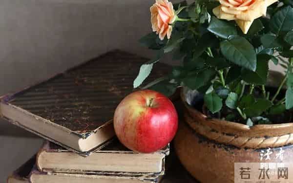 《巴黎圣母院》：改变命运的方法，永远只有一个