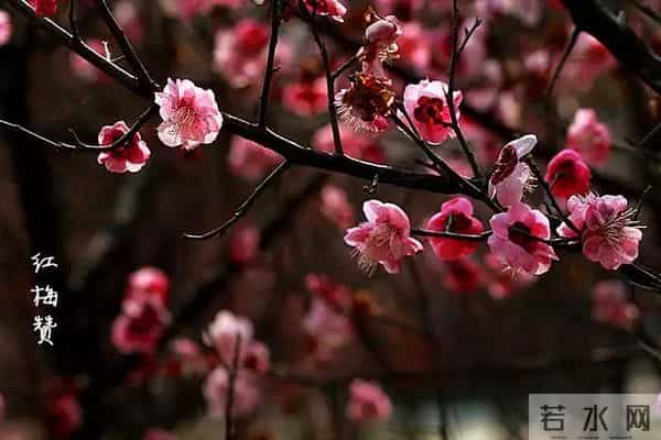 70年来,有没有一首歌,让中国人听了就热泪盈眶?