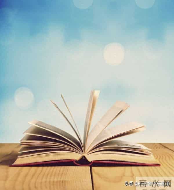 《读书的快乐》演讲稿600字(六年级口语交际)