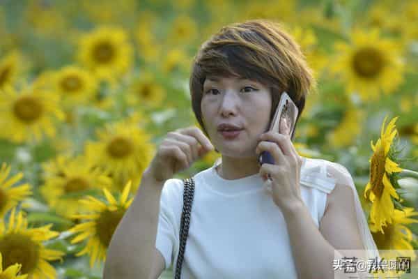 花千姿——花海国庆见闻（原创摄影+随笔300字）