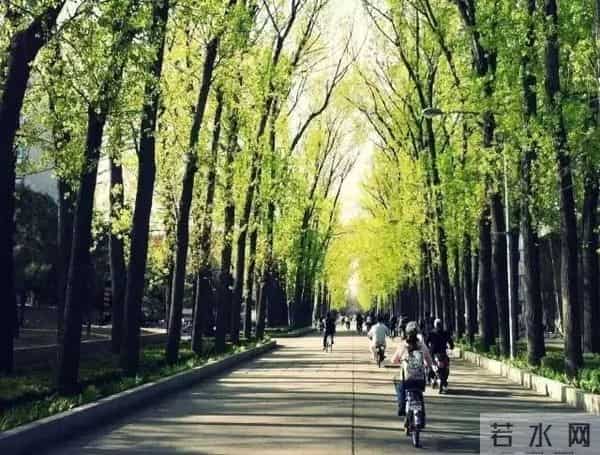 教师节｜正是这些老师教的歌撑起了我们的童年