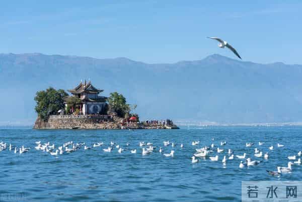 关于国庆节的小学生作文范文20篇