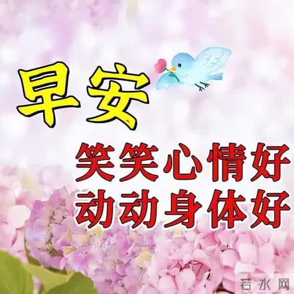 清晨5分钟！这些早安祝福藏着幸福密码