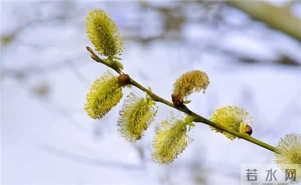 美文语段摘抄，阅读会给你生活增加快乐和美好