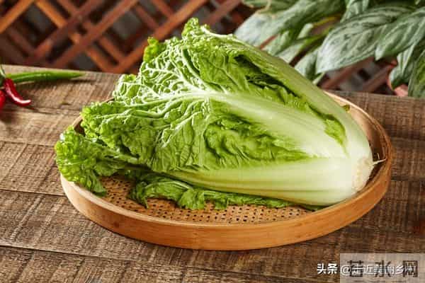 农村创业新风口:这3类项目成本低、见效快,大叔也能轻松上手!