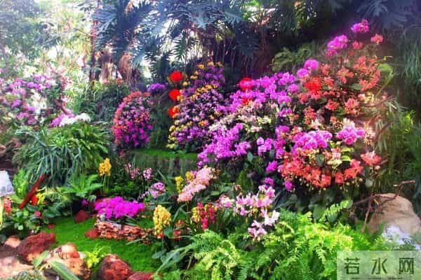 在上海过年的最全攻略来了!127项文旅臻选活动快收好→