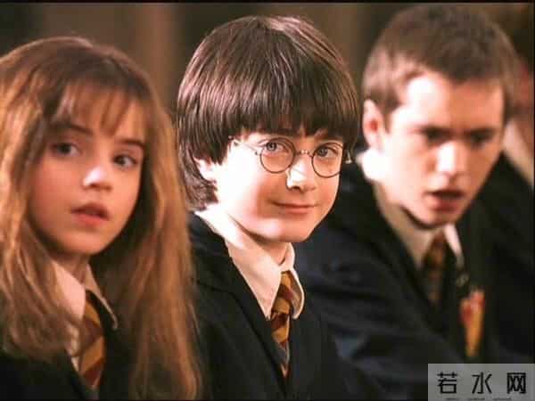他是《哈利波特》中唯一没长残的孩子，一个被欺负的胖子