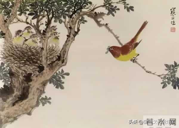 国画大家江寒汀的写意花鸟作品赏析！