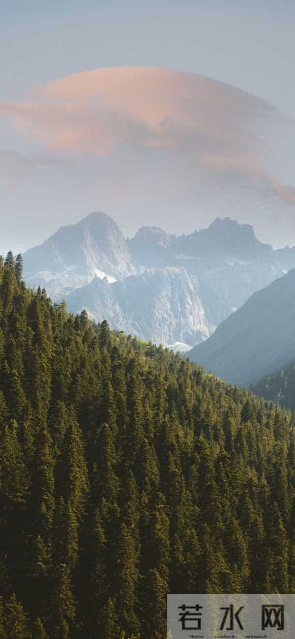 婚礼前一周，我收到一条信息_你只是他求而不得的退而求其次