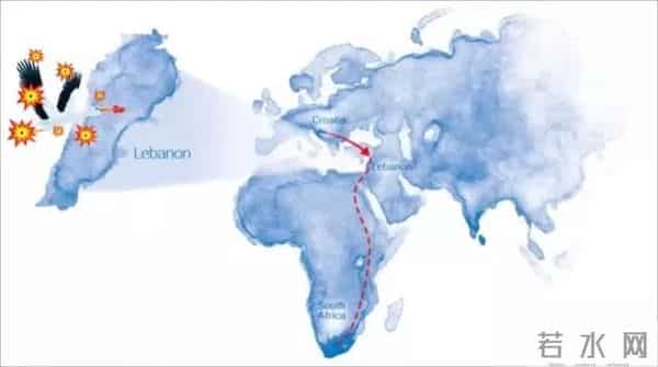 异地17年,每年飞13000公里相见,却在生子后离开!这个“负心汉”看哭了全世界……