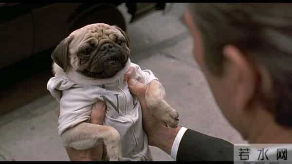 黑衣人4彩蛋大盘点 黑衣人全球追缉结尾有彩蛋吗什么意思