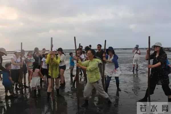 瑶瑶台湾看湿地——第二天：穿上特制鞋，牛车采生蚝